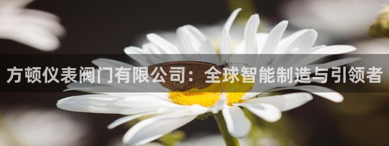 新宝gg平台怎么样