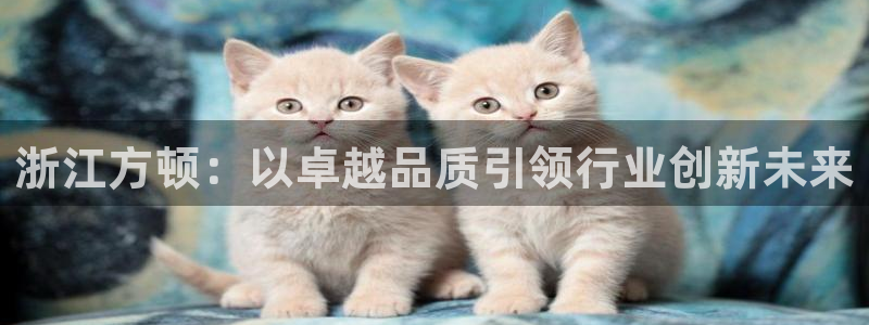 新宝gg娱乐盟主