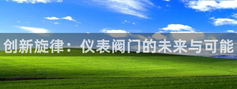 新宝gg作弊