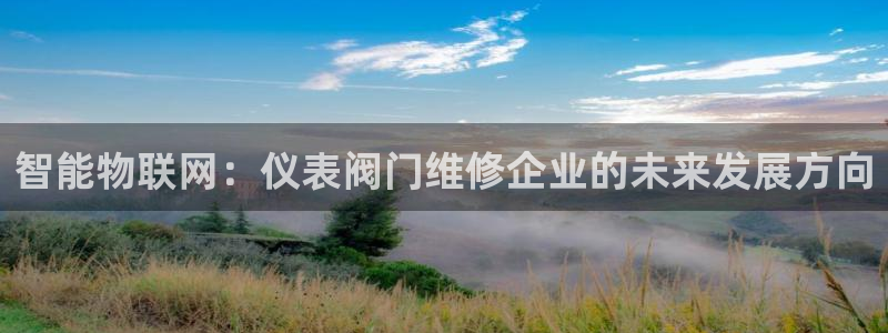 新宝gg挣钱