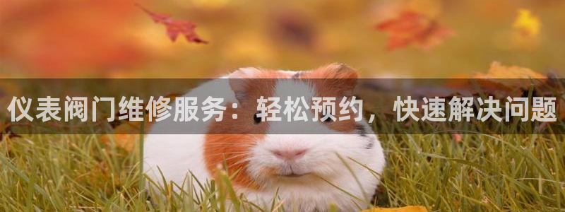 新宝gg 彩票