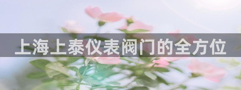 新宝gg — 创造!