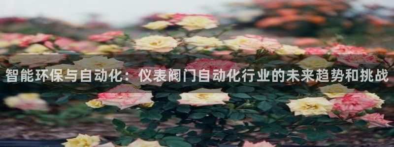 新宝gg主页