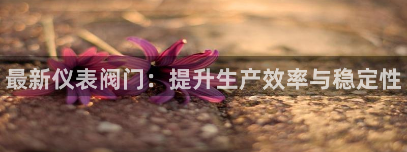 新宝gg漏洞
