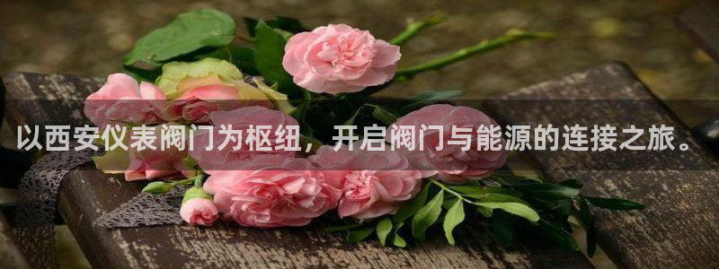 新宝gg代理