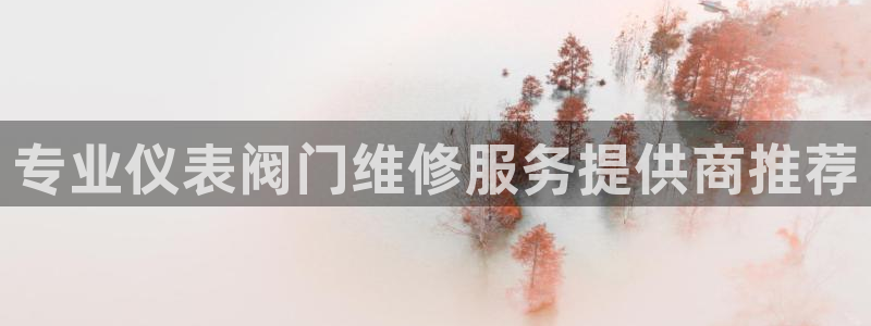新宝 gg 下载