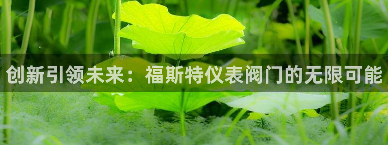 新宝gg奇迹