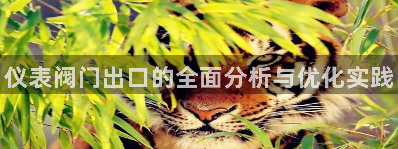 新宝GG上级