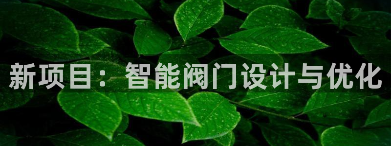新宝gg娱乐官网