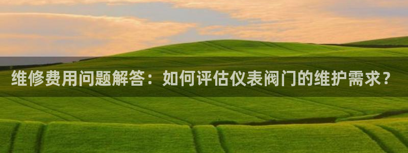 新宝gg账号
