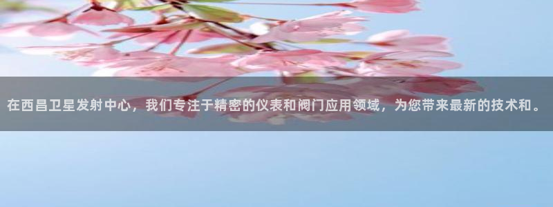 新宝gg用哪个浏览器