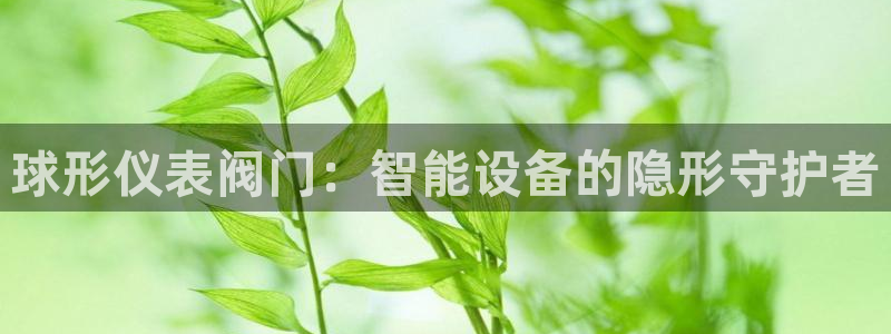 新宝gg图片