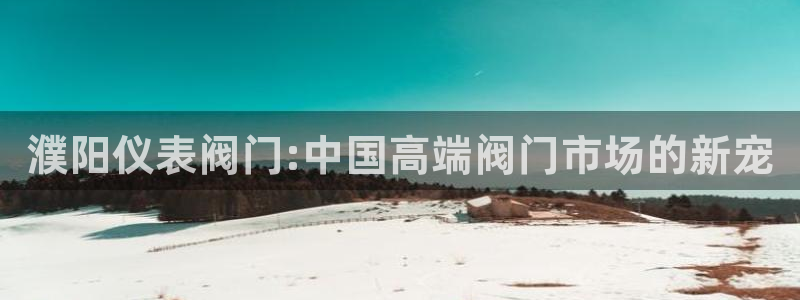 宝新gg
