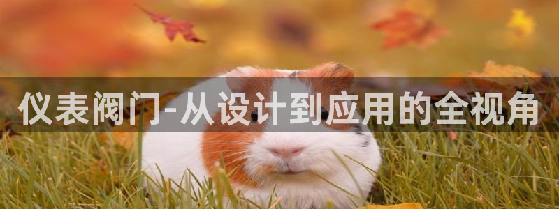 新宝gg下载官网下载