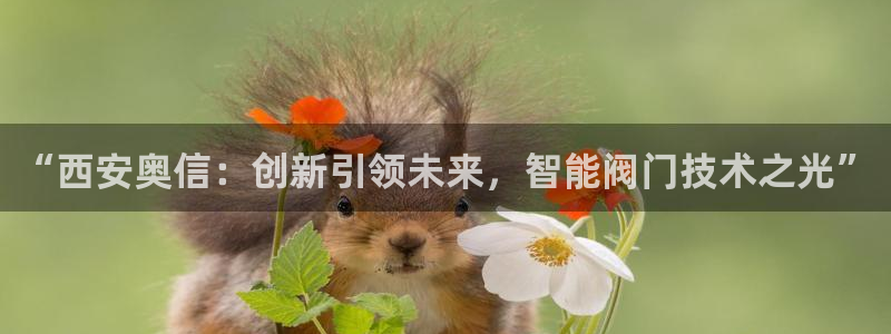 新宝时gg