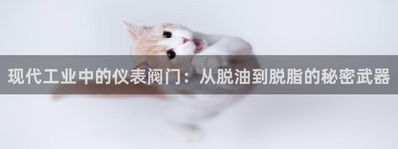 新宝gg客服电话