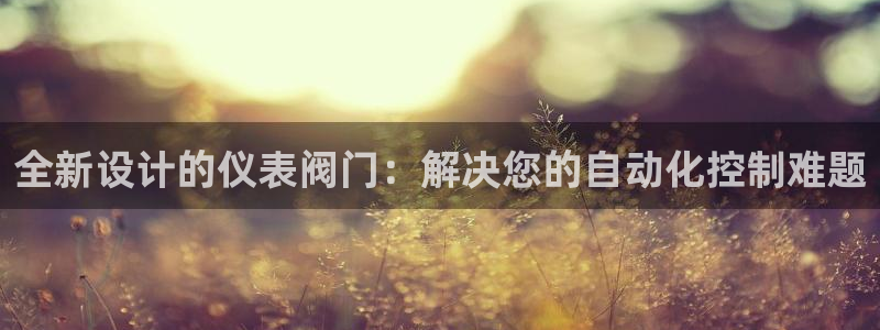新宝gg游戏平台