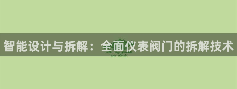 新宝GG创业奇迹