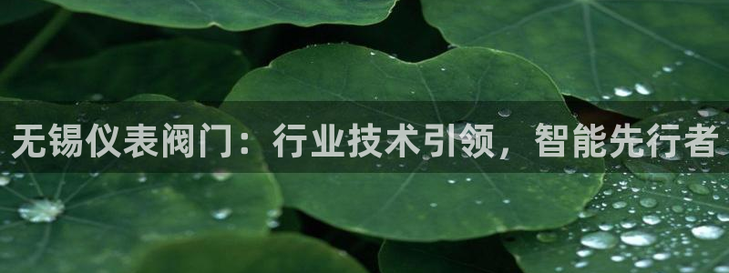 新宝时gg